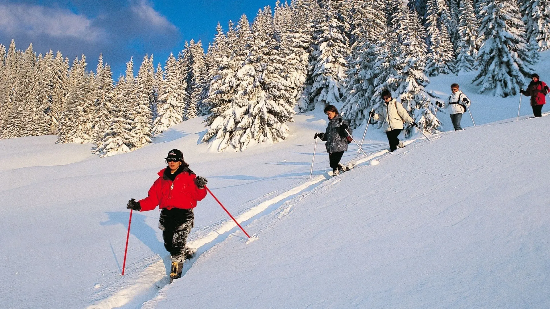 Vercors Raquettes En Hiver C Grand Angle - Vercors - France © Grand Angle