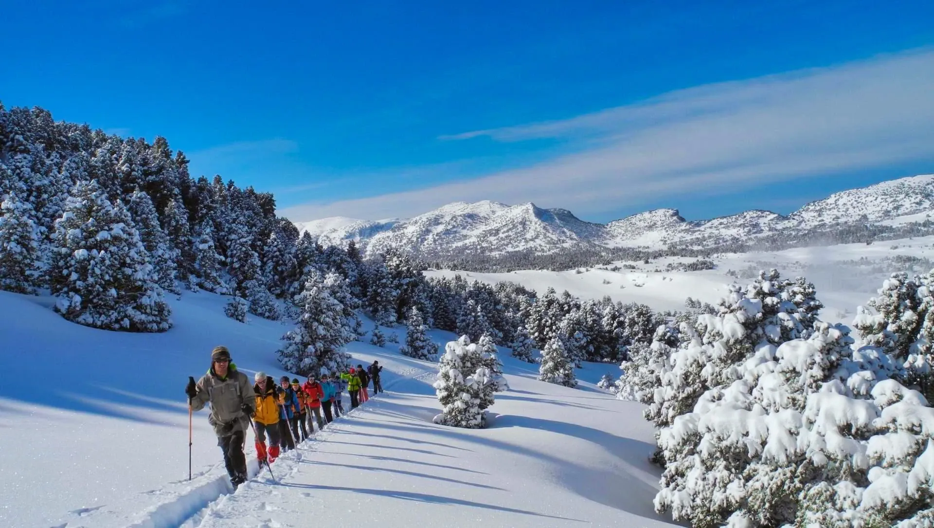 Vercors Raquettes Groupe Forets Neige - Vercors - France