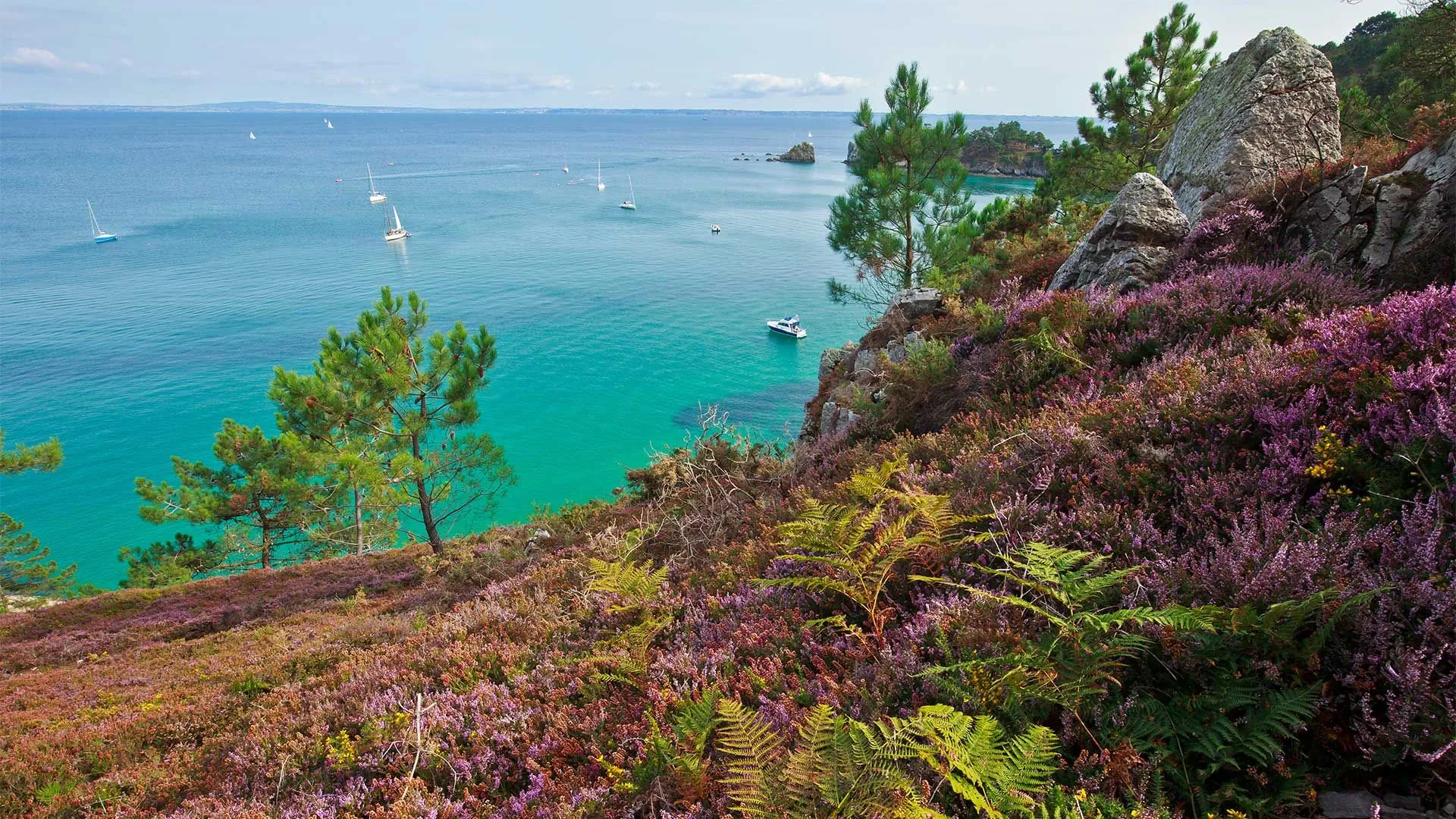 Vers Le Cap De La Chevre C Adobe Stock - France © Adobe Stock