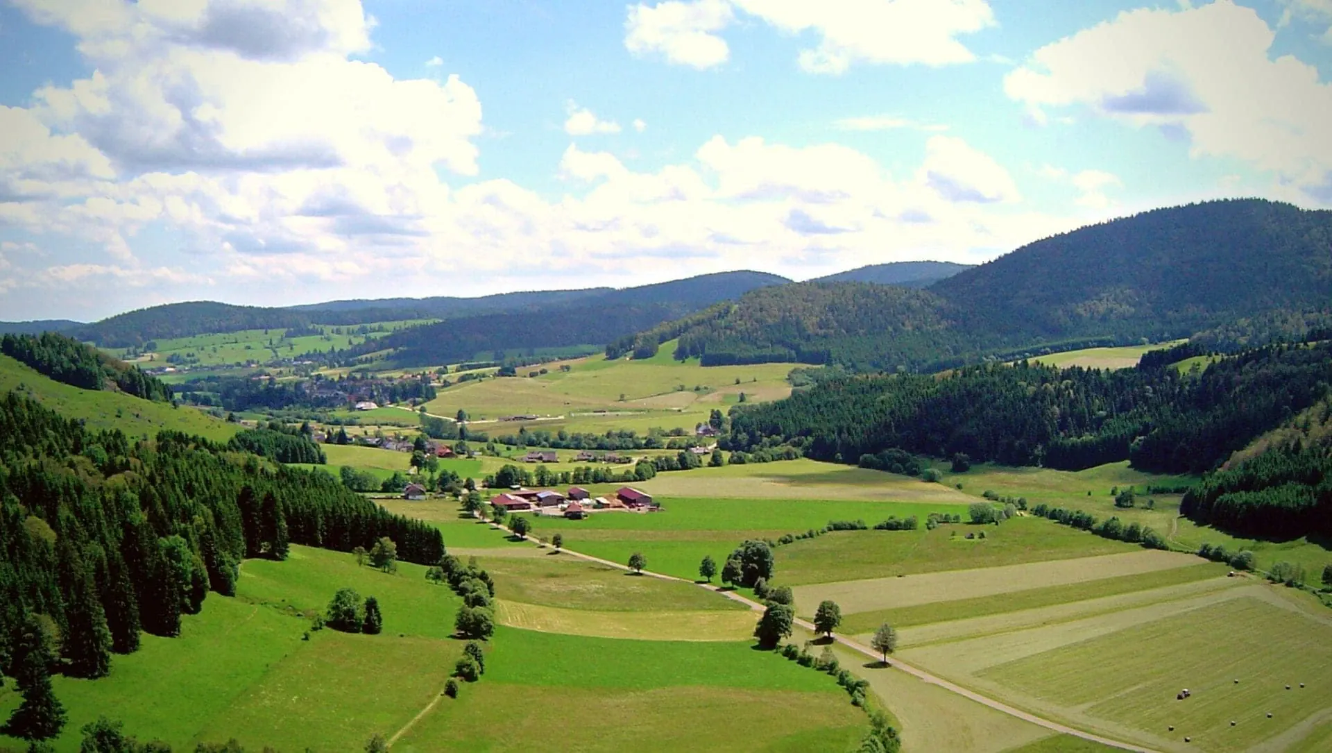 Vue Aerienne Foret Noire C Pierre Paillat - Allemagne