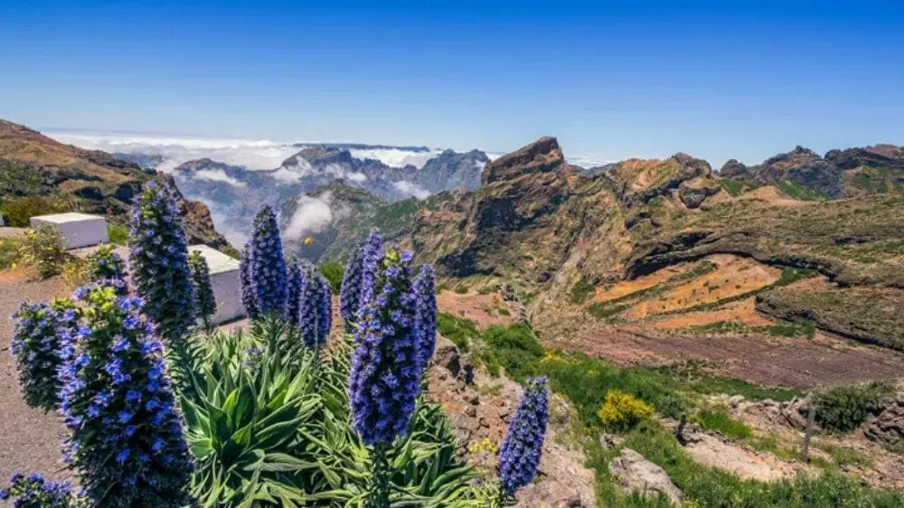 Vue Depuis Le Pico Do Areeiro - Portugal