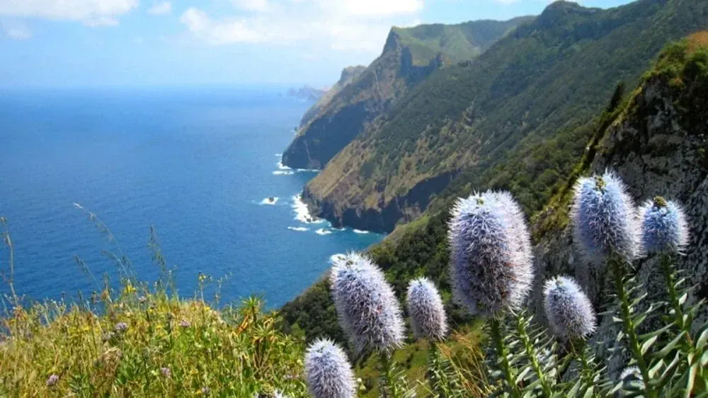 Vue Depuis Un Sentier De Randonnee C Manuel Spinola - Portugal © Manuel Spinola