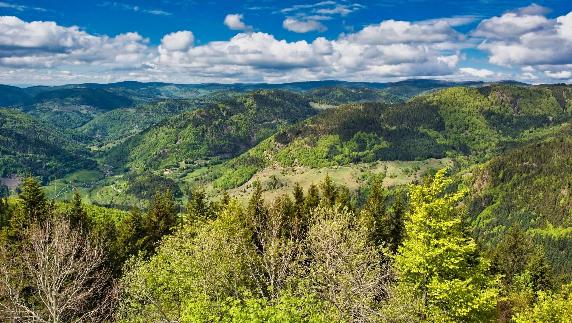 Vue Du Sommet Du Hochkopf En Foret Noire C Adobestock - Allemagne