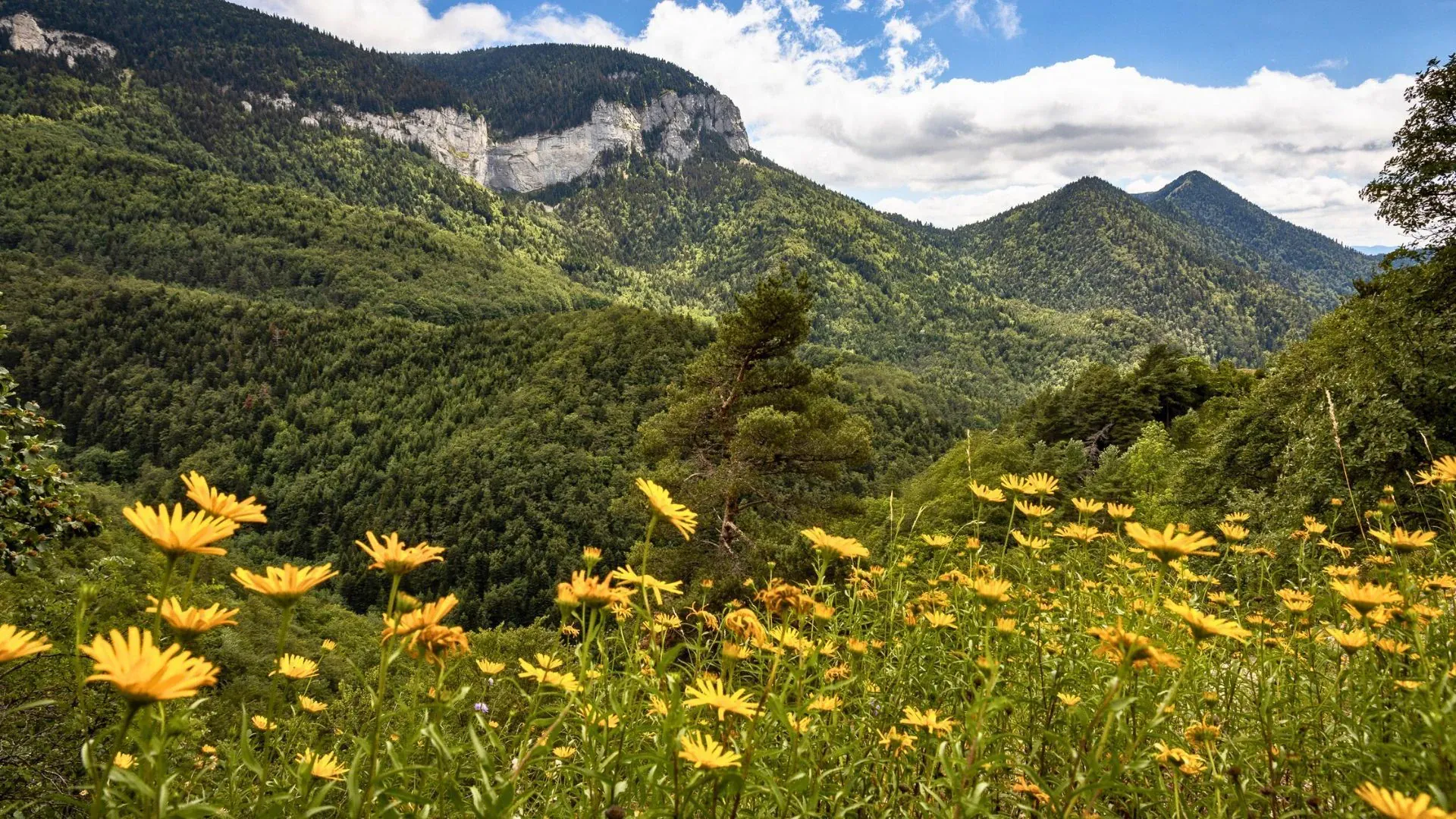 Vue depuis le Moucherotte - Vercors - France