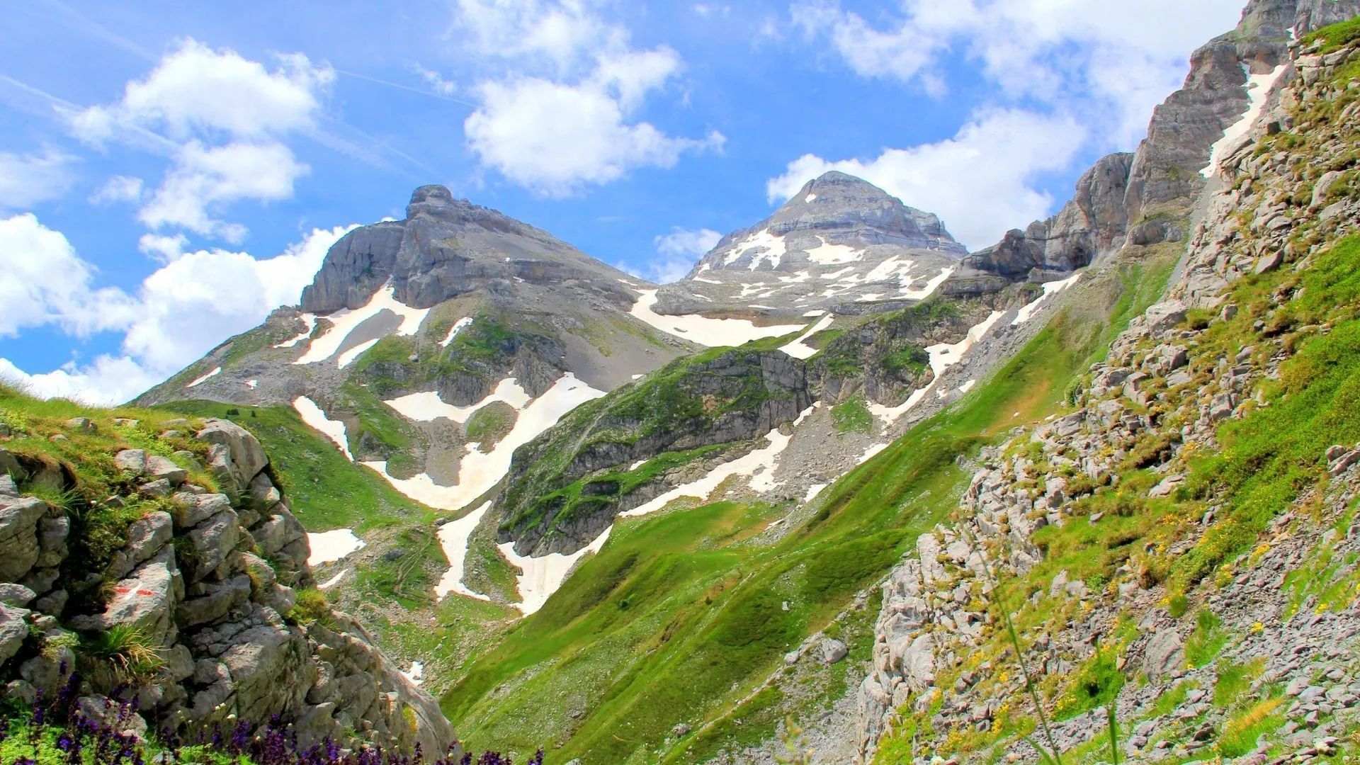 Vue depuis le Pic Saint-Michel - Vercors - France © Florent Delaunay