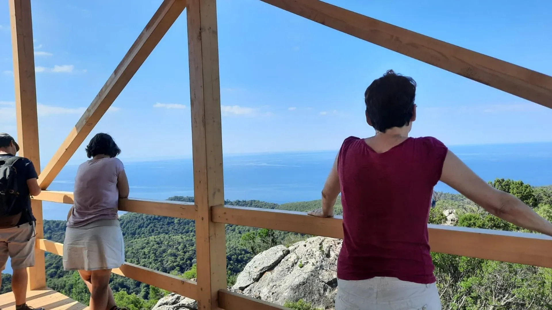 Point de vue sur l'Aiguille des Glaciers et le Mont Blanc - Alpes - France