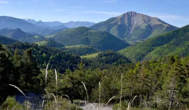 Vue sur le Blayeul - Massif des Monges - Provence - France