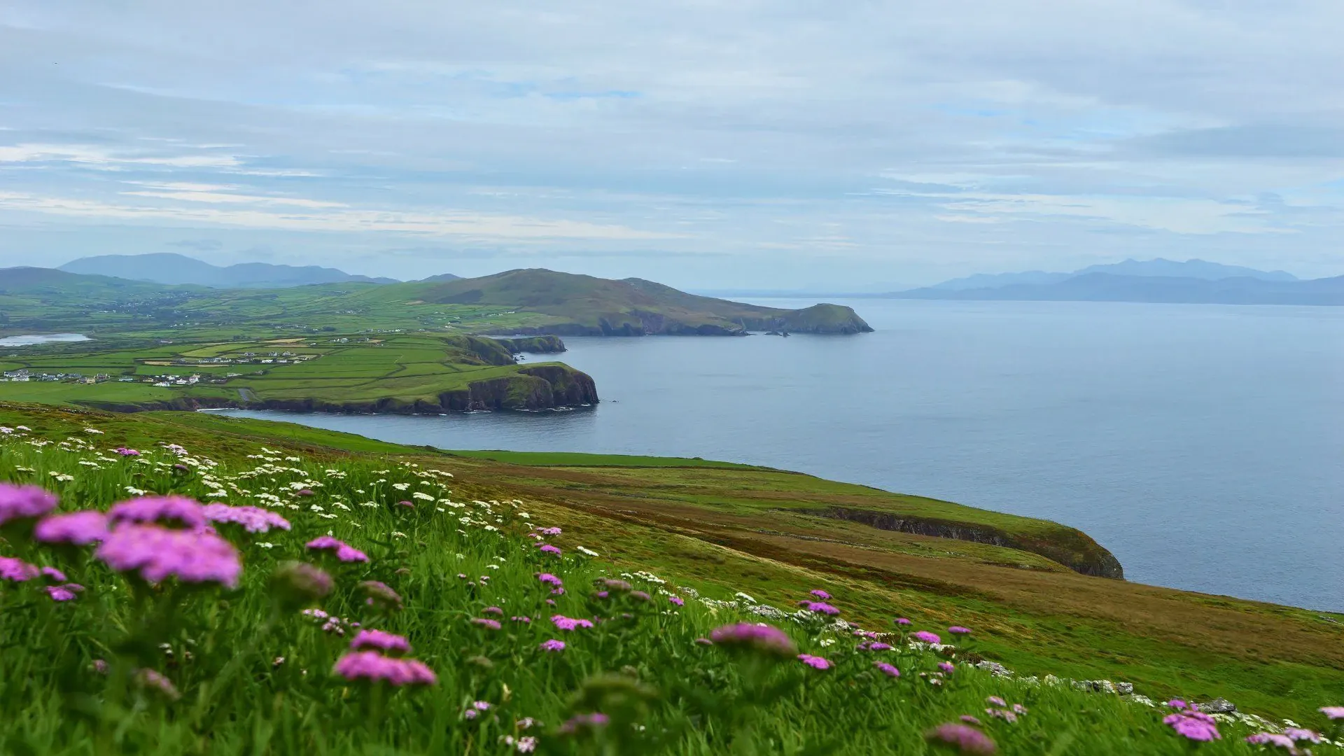 Vue sur la baie de Dingle - Kerry - Irlande