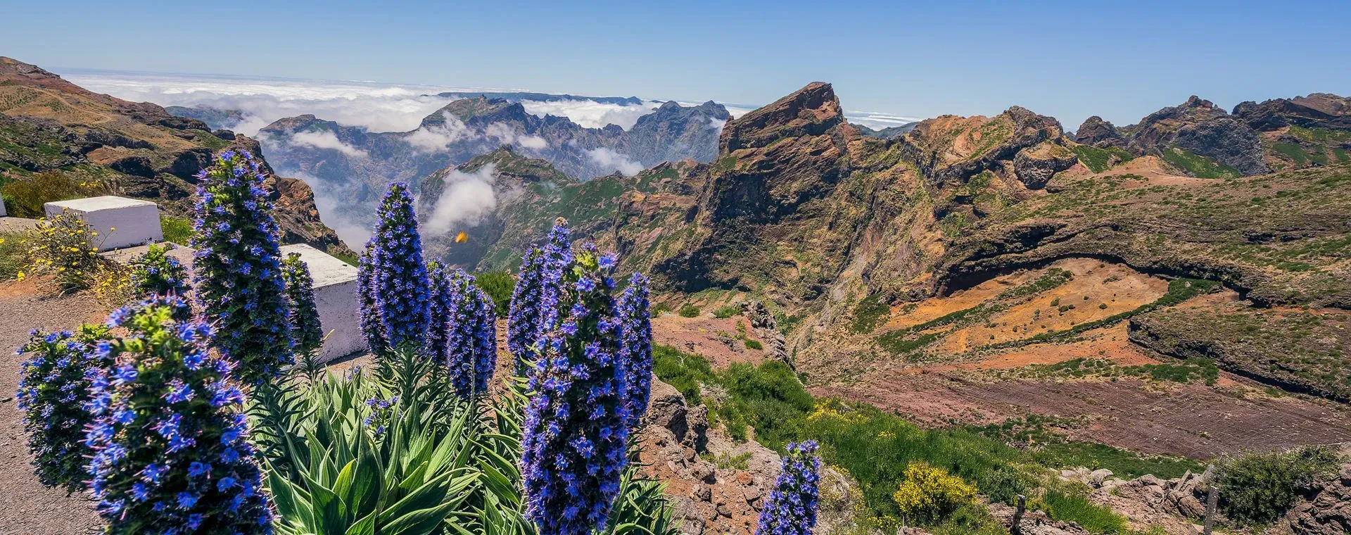 Vue Pico Areiro Troisieme Sommet Ile Madere - Madère - Portugal