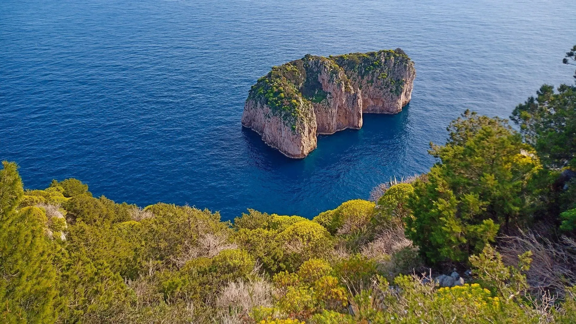 Vue Sur La Mer A Capri C Tania Gherli - Italie © Tania Gherli
