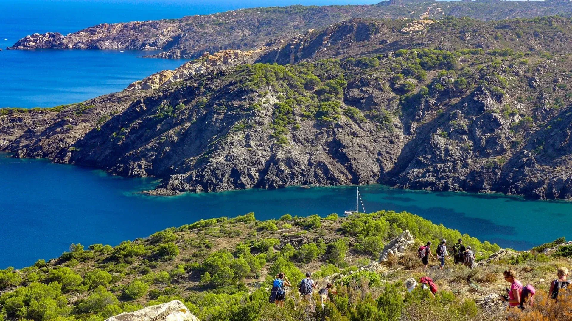 Vue Sur Le Littoral Entre Collioure Et Cadaques - France
