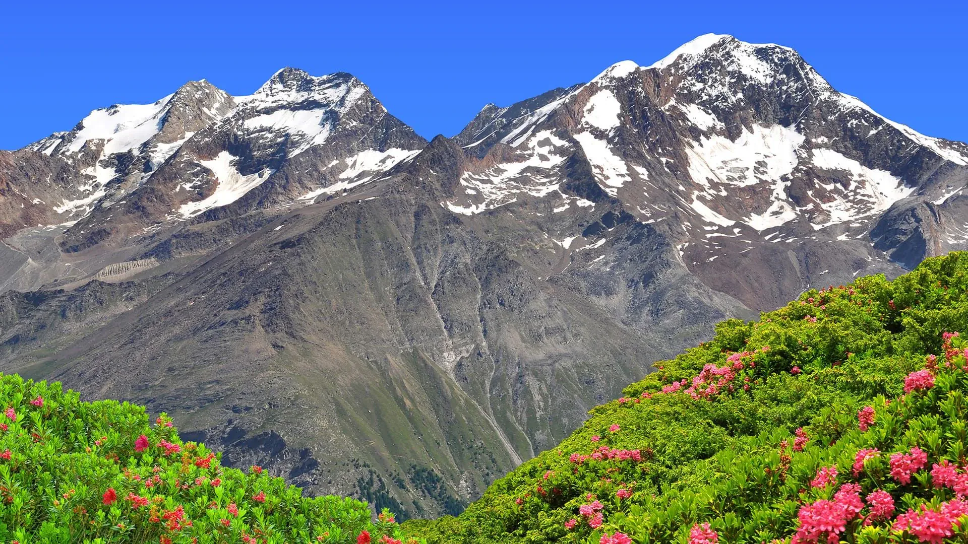 Vue Sur Weissmies Lagginhorn And Fletschhorn C Adobe Stock - Suisse © Adobe Stock