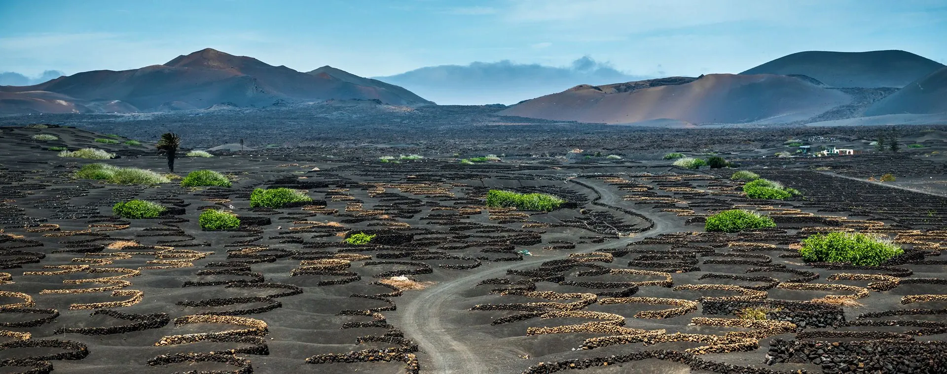 Vignoble La Geria Lanzarote - Espagne