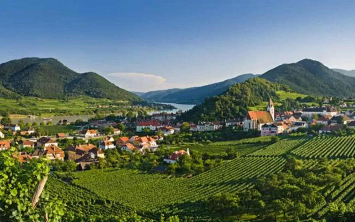 Vignobles ©David Praire