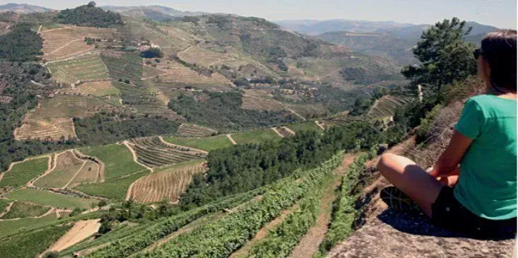 Vila Praia de Âncora - Minho - Portugal