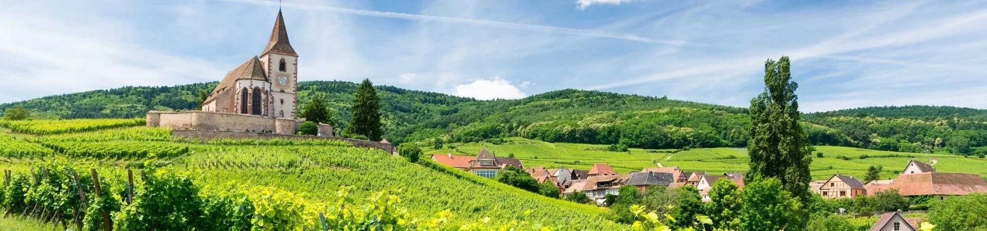 Village et eglise au milieu des vignobles - Alsace - France