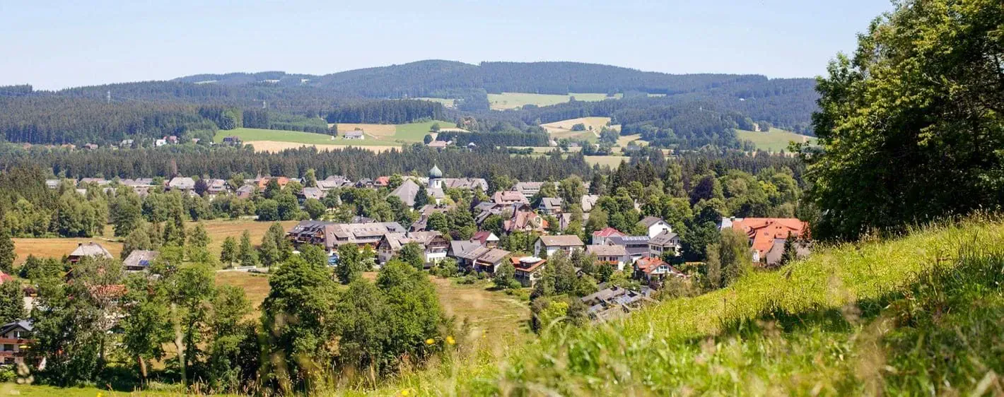 Village Hinterzarten Foret Noire - Allemagne