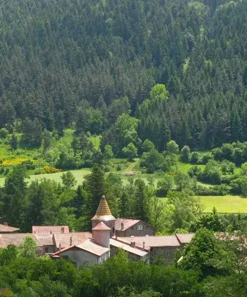 Village de Goudet niché dans une vallée boisée - Haute-Loire - France