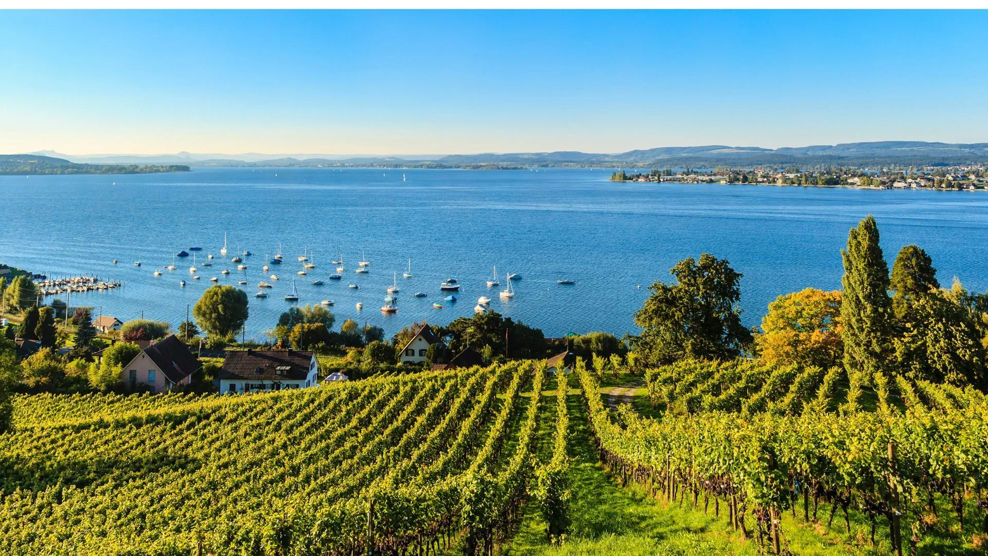 Village de La Godivelle dans le Cezallier - Auvergne - France