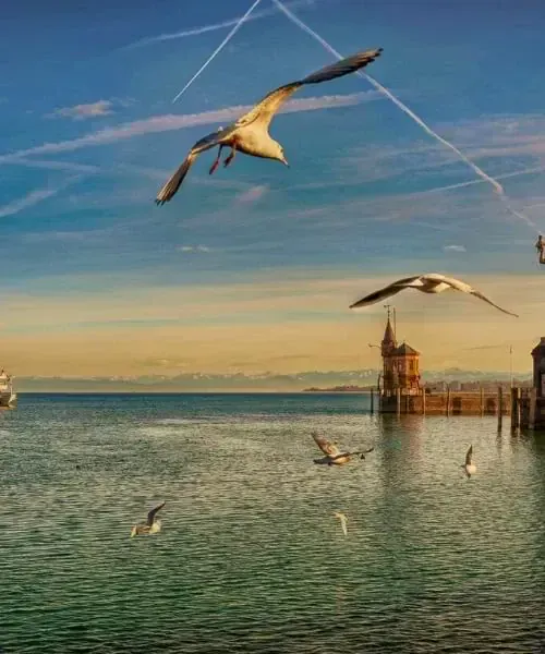 Village du Mont-Dore au pied du Sancy - Auvergne - France