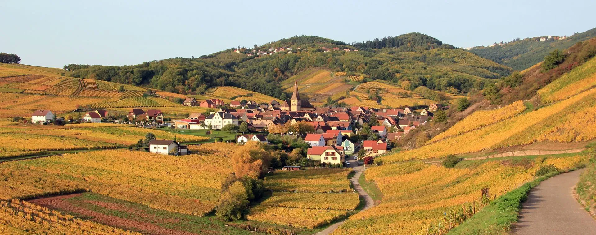 Village Vignes Niedermorschwihr - France