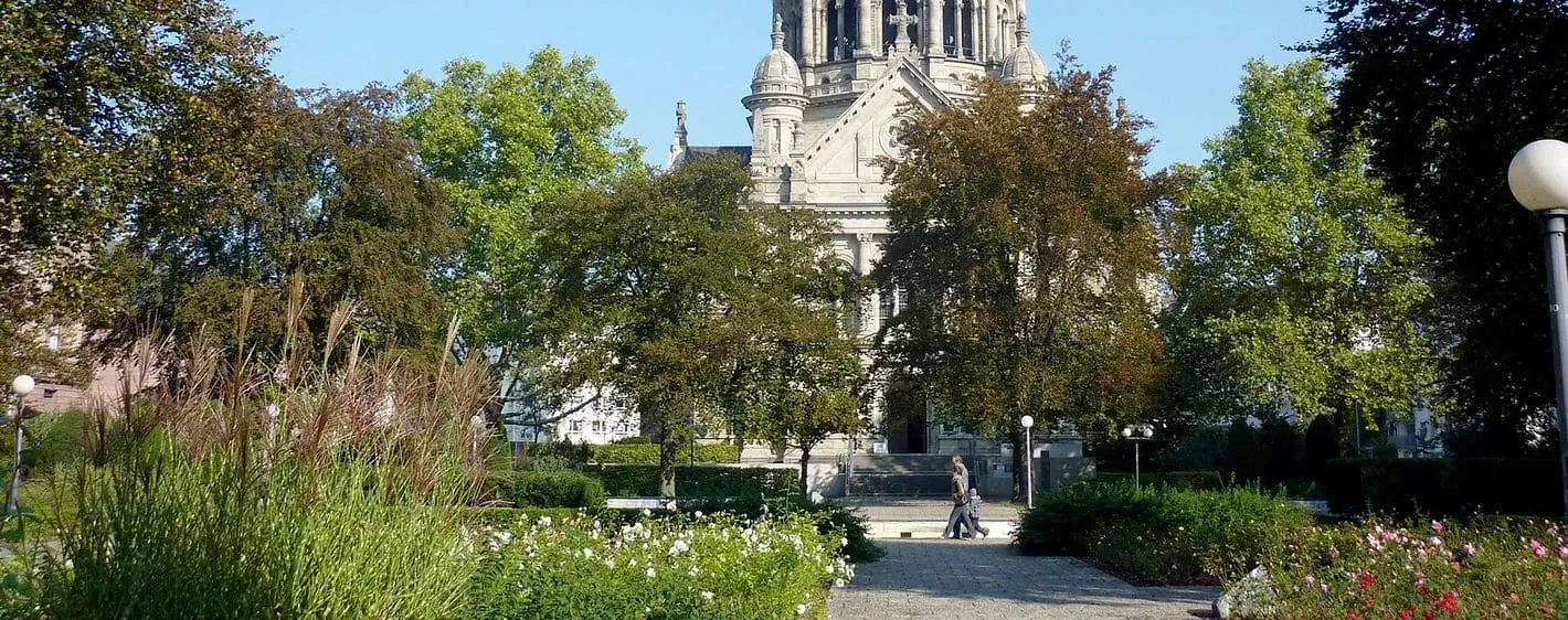 Vignobles le long du Rhin - Allemagne