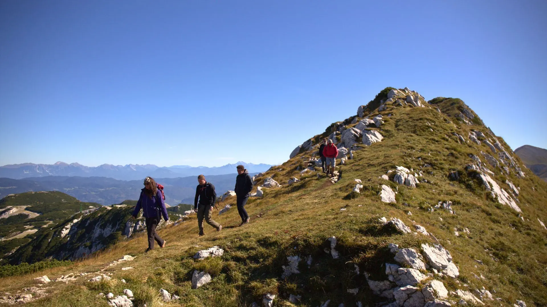 Vallee de la Wachau a Spitz - Danube - Autriche