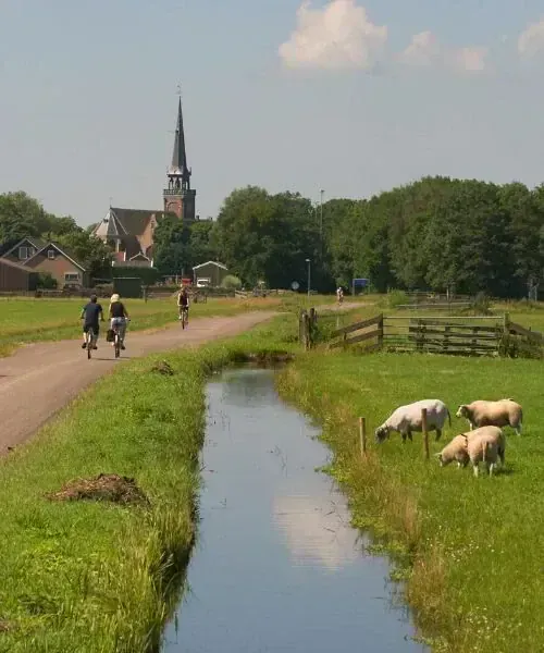 Paysage du Waterland - Pays-Bas