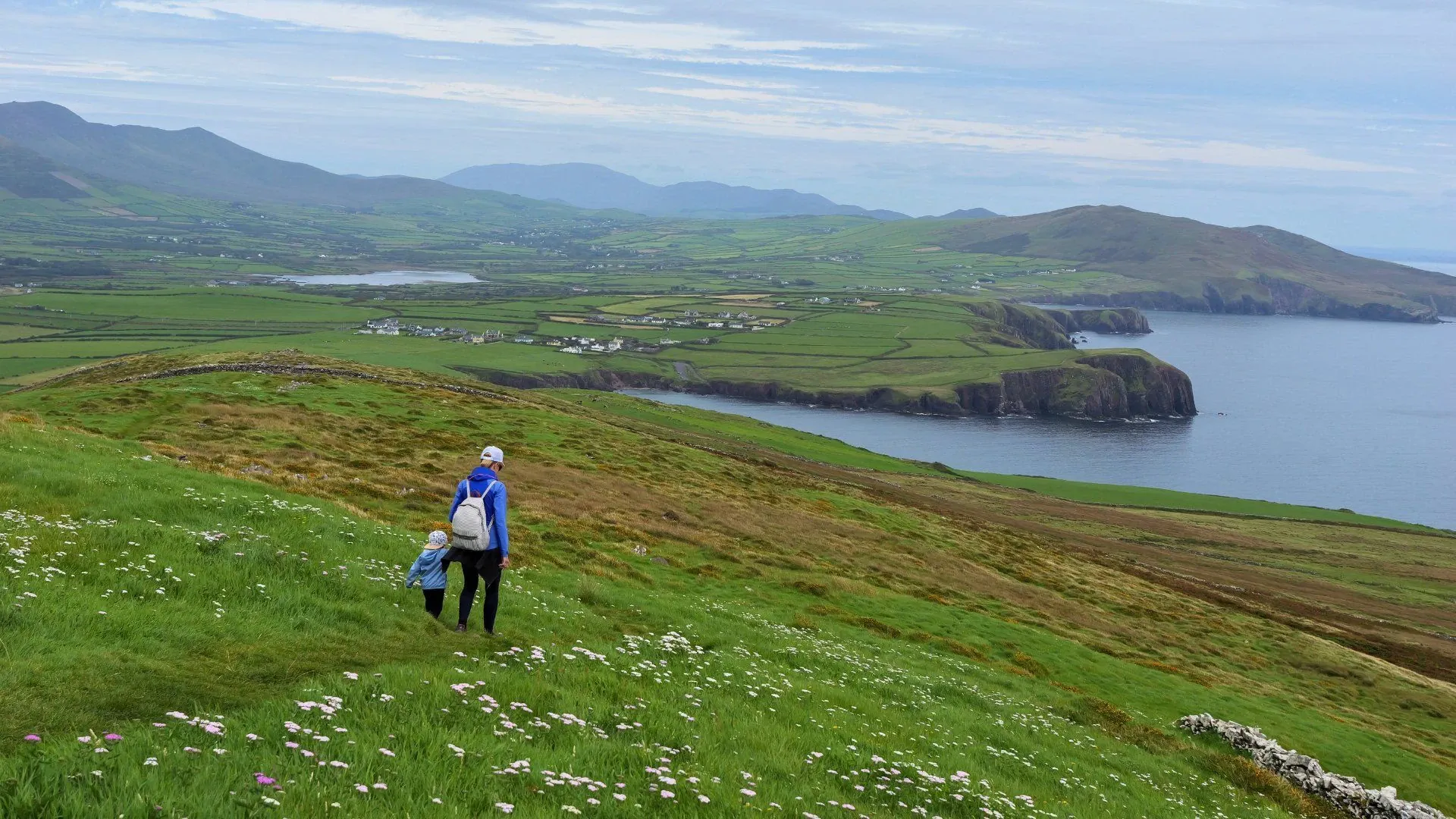 Côte sauvage de la péninsule de Dingle - Kerry - Irlande