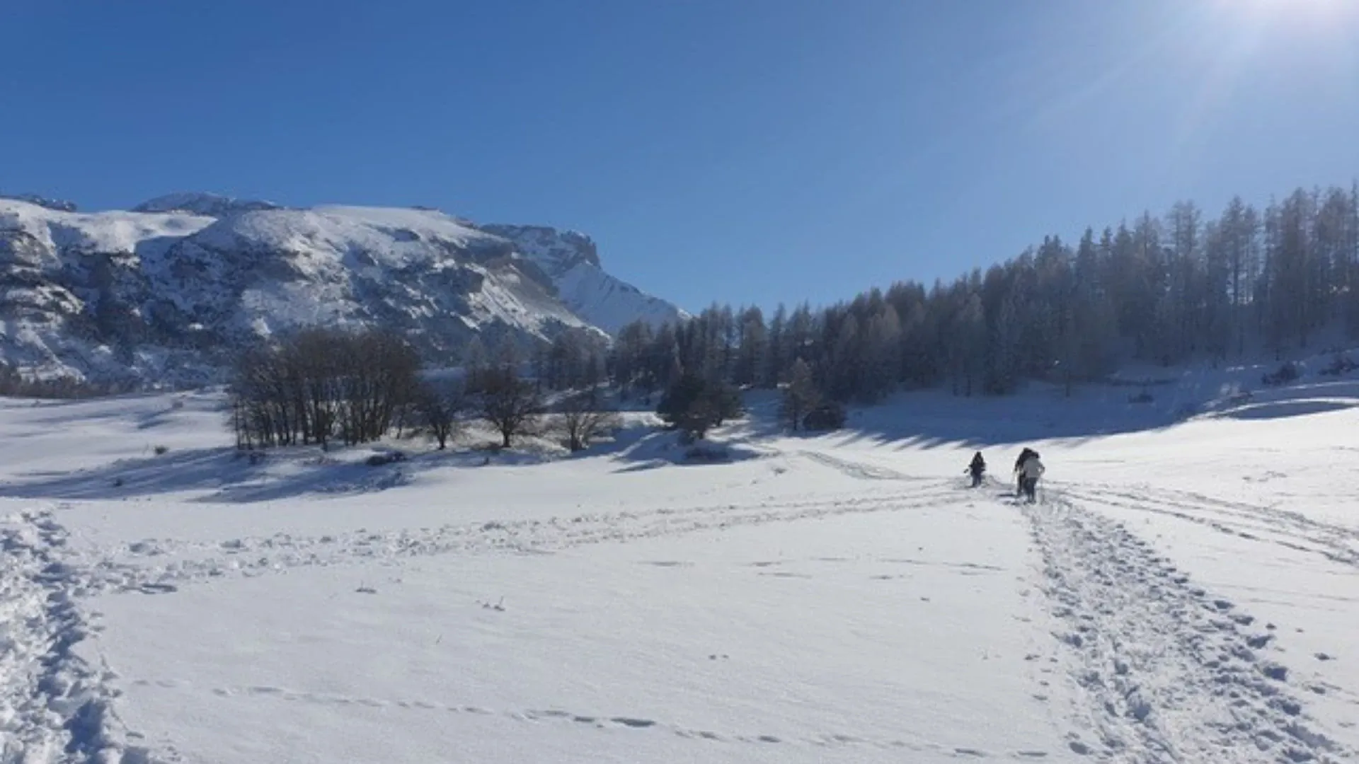 Paysage hivernal dans le Dévoluy - Hautes-Alpes - France