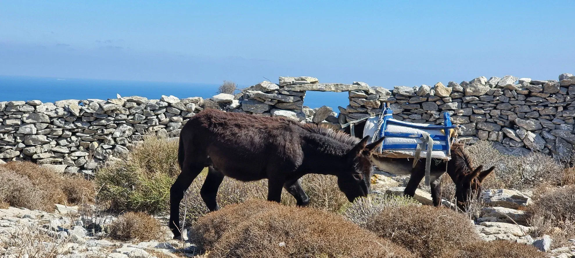 Paysage hivernal près du Cervin - Alpes - Italie © Pierre Paillat