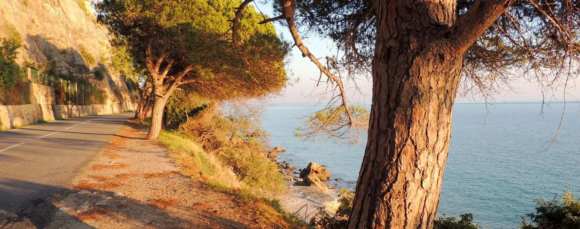 Paysage hivernal du Bregenzerwald - Autriche