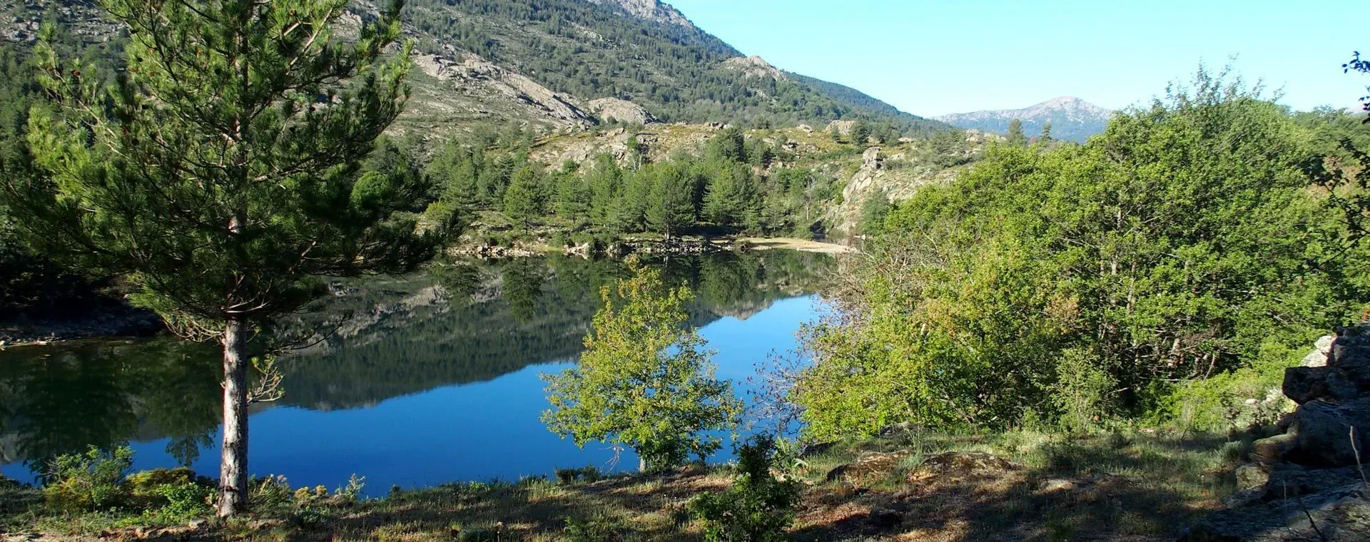Paysage hivernal de Chartreuse - Alpes - France
