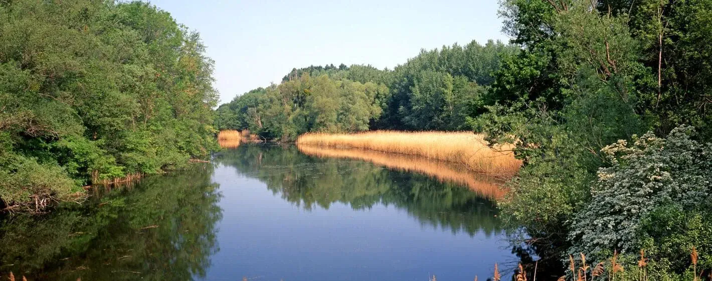Paysage hivernal de Laponie finlandaise - Finlande - winter-landscape-of-finnish-lapland-finland-2