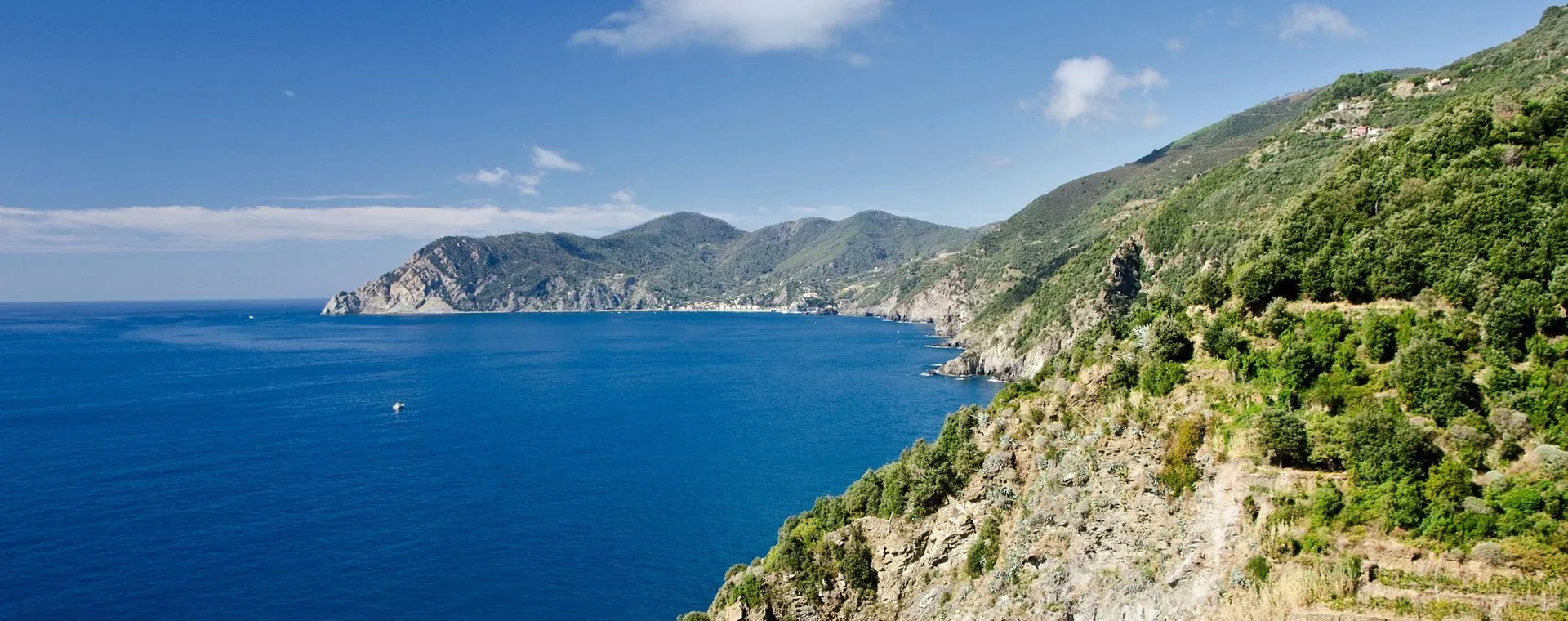 Paysage hivernal du Massif du Sancy - Auvergne - France