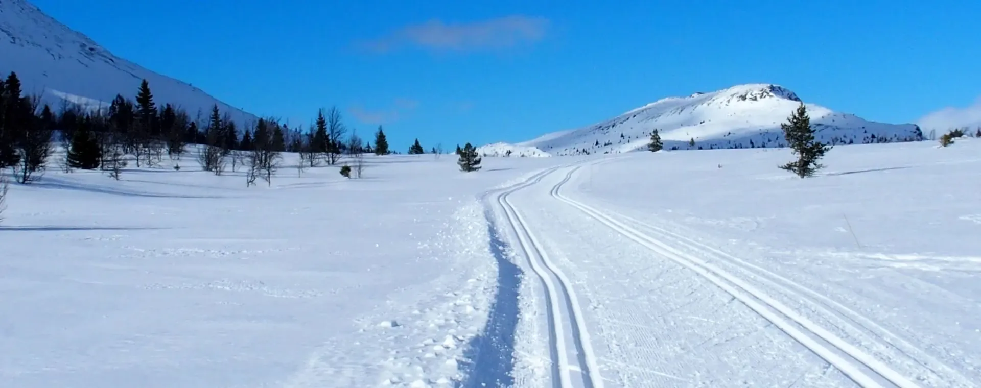 Paysage hivernal de la Forêt-Noire - Allemagne