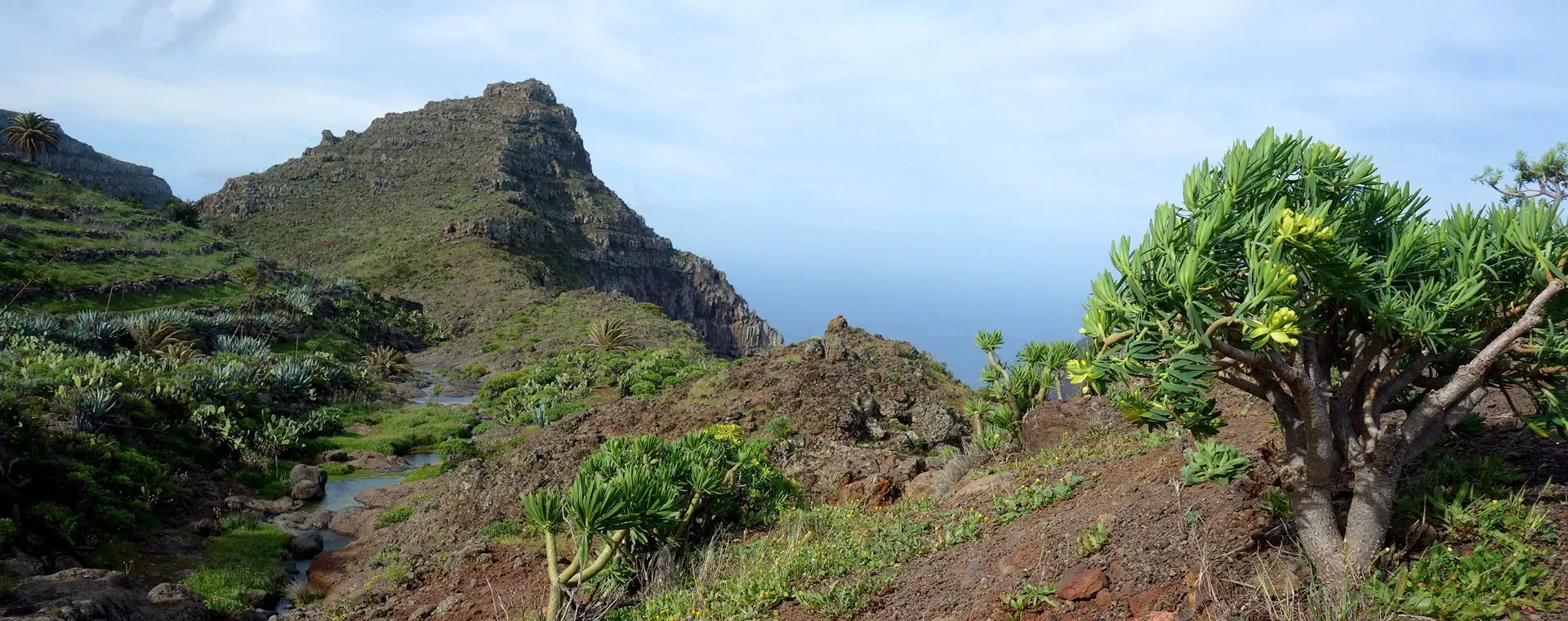 Paysage hivernal du Jura - France