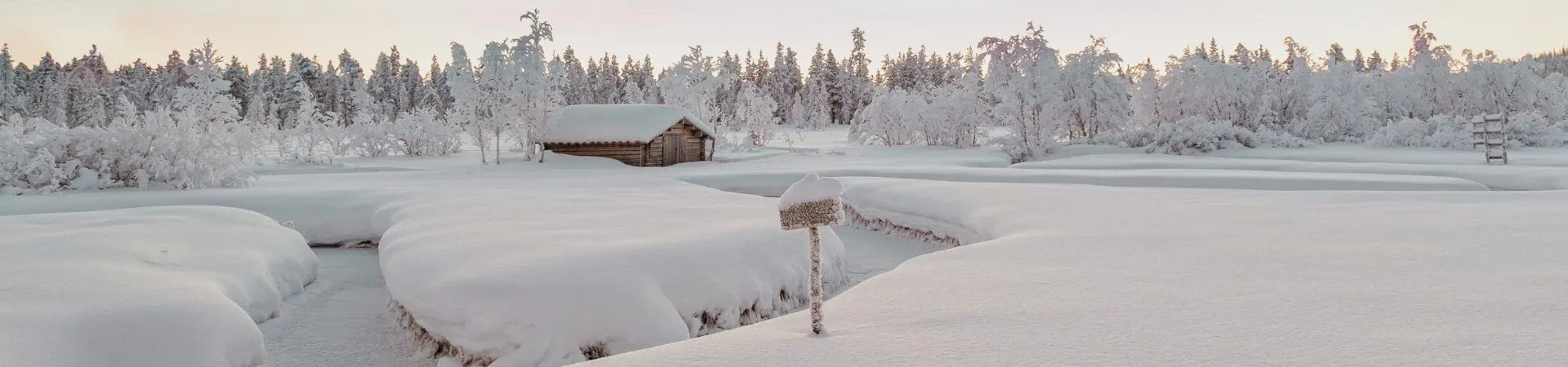 Chalet en bois dans paysage hivernal enneige - Laponie