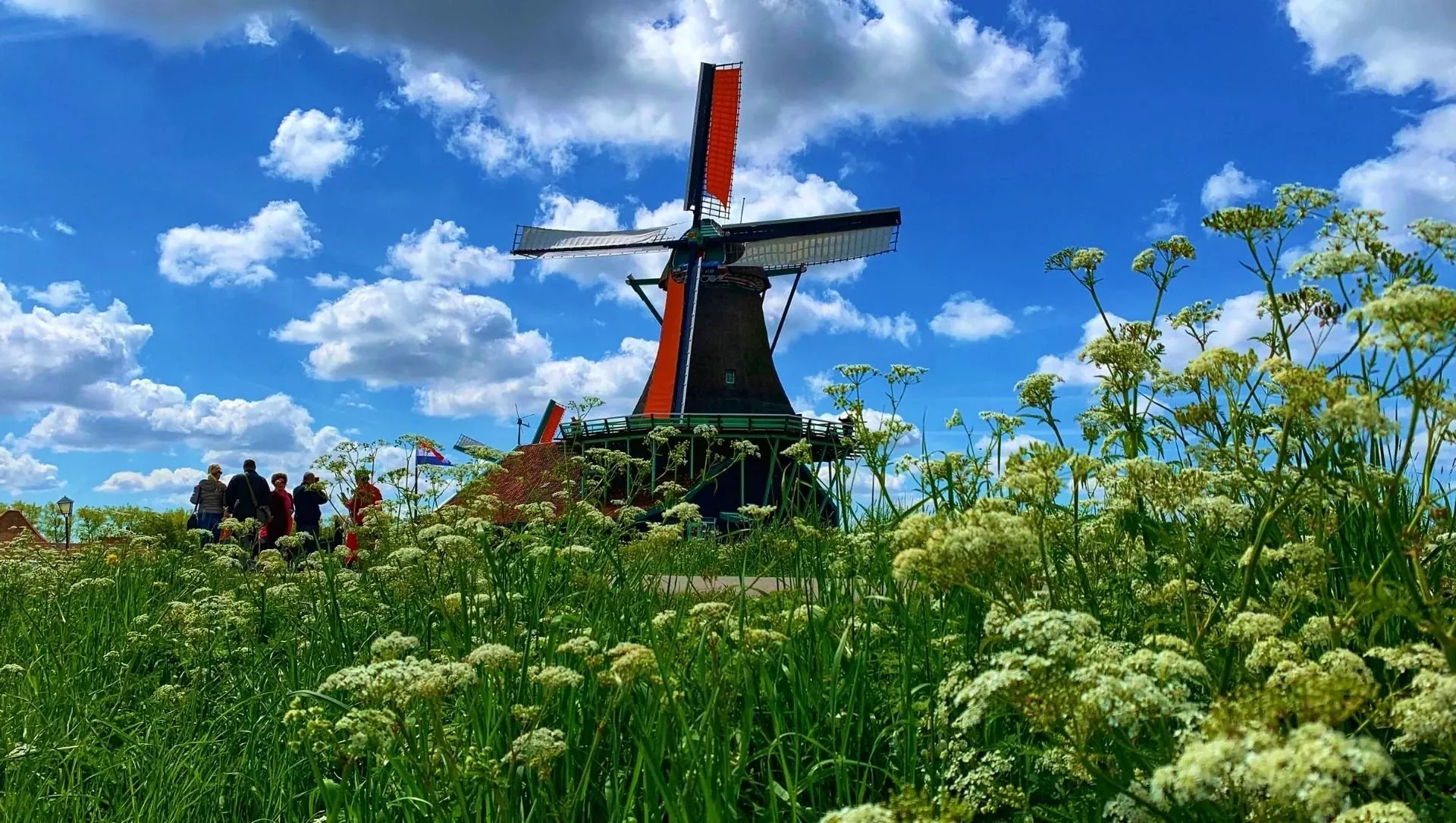 Zaanse Schans - Pays-Bas - zaanse-schans-pays-low-3