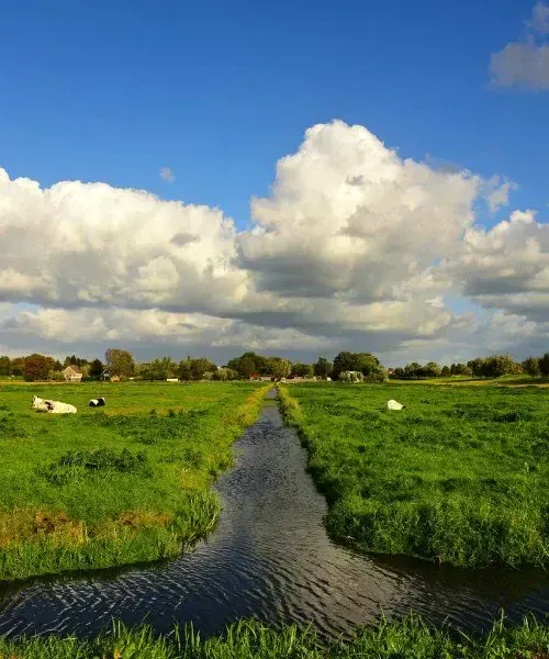 Paysage de la région de Zélande - Pays-Bas