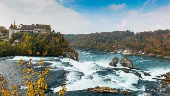 Tour du Lac de Constance et les Chutes du Rhin